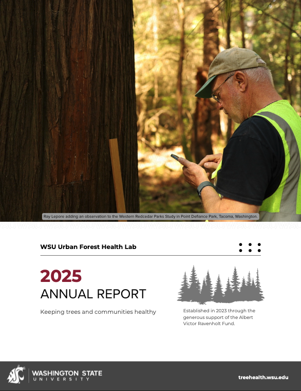 2025 Annual Report Cover Image